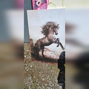 Majestic Brown Horse Canvas Art